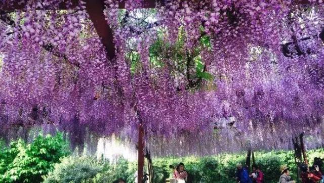 上海嘉定区是否更名为嘉定新区,嘉定要改名字叫嘉定新区吗