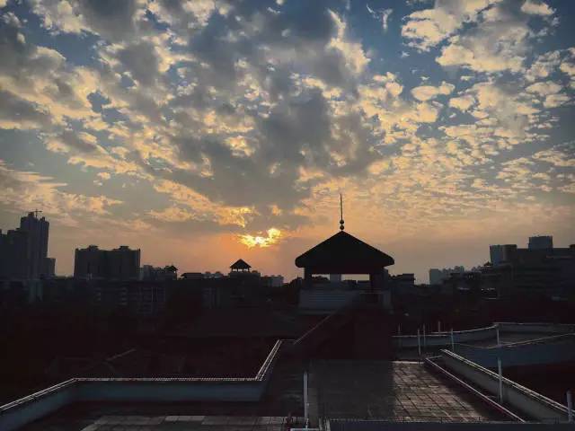 真光学校和真光中学有什么不同,真光中学简介