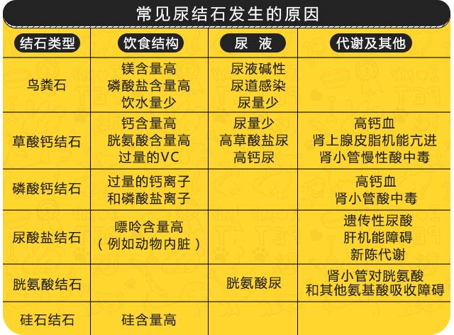 什么猫粮不会导致泌尿感染,肾脏疾病猫粮