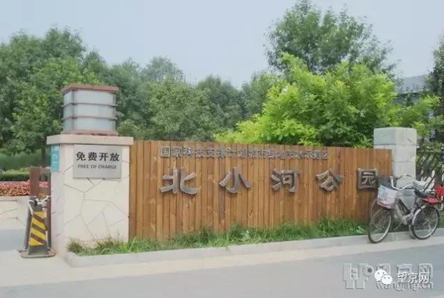 厚积薄发银杏,望京公园和大望京公园哪个好