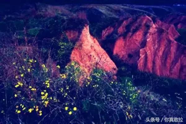 临沂郯城在哪里,临沂郯城古城