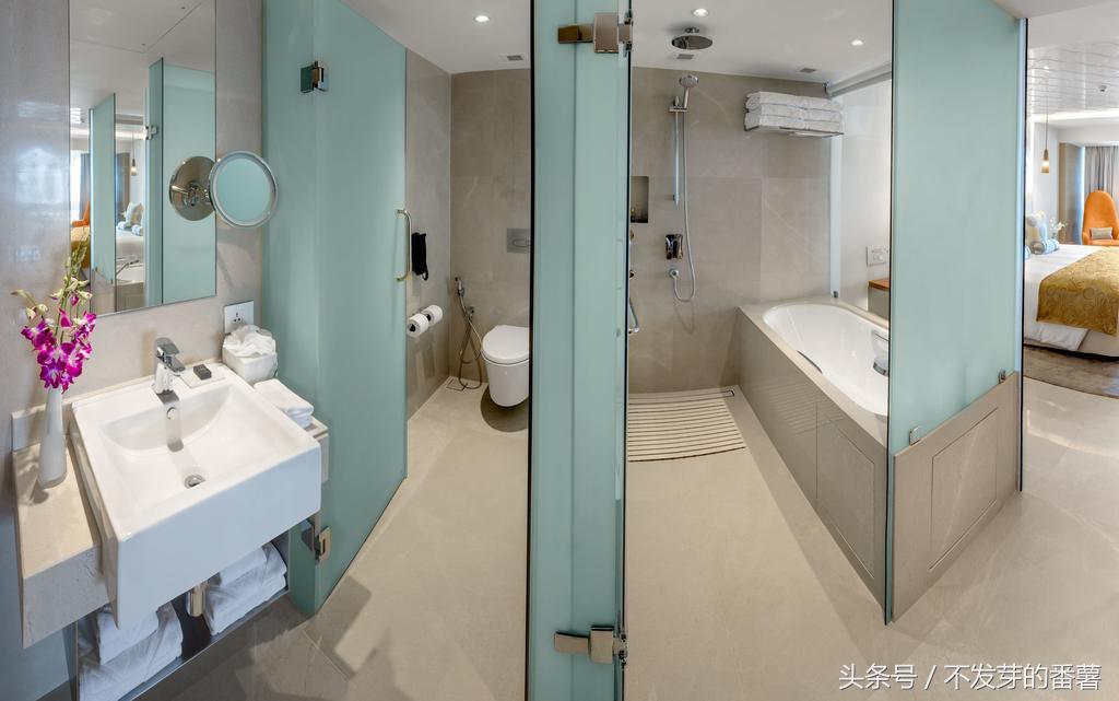 印度皇宫五星级宾馆,印度最豪华的王宫