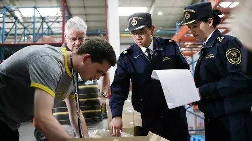 入境海关申报应该注意哪些事项,去澳洲过海关什么物品需要申报