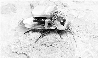 弦是如何组成物质的,所有物质是由分子构成的吗