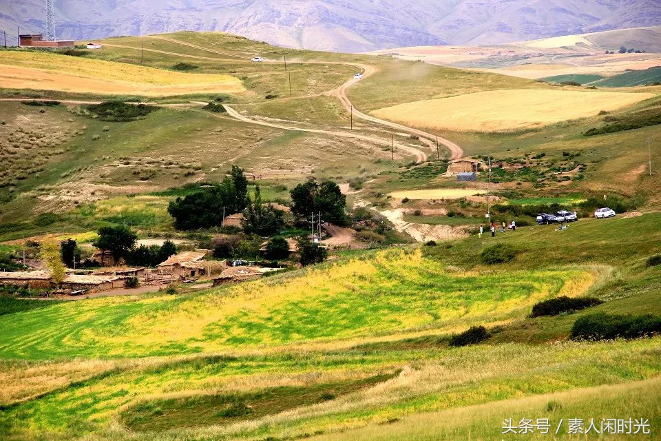 新疆昌吉农校,新疆昌吉农职院学校