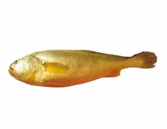 羊口开海！倒计时一天！第一网吃起来！看完哈喇子流一地