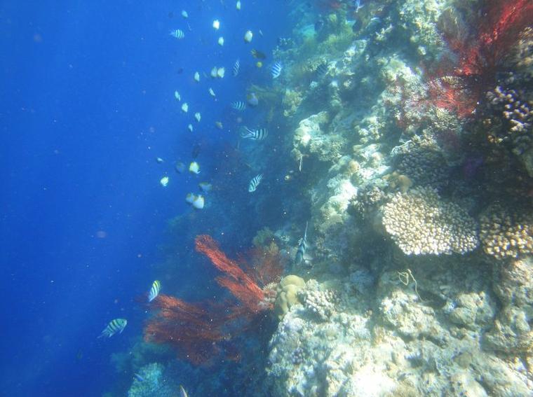 帕劳旅游最美风景攻略,帕劳旅游攻略自由行