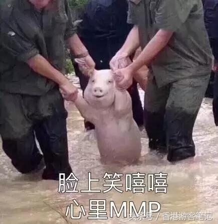 还去香港干嘛？日本都比香港折扣大