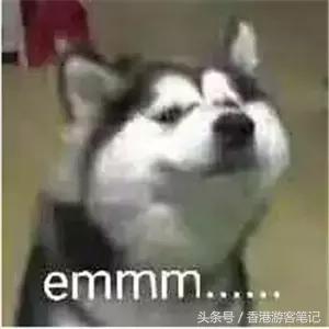 还去香港干嘛?日本都比香港折扣大