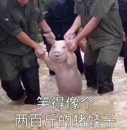 还去香港干嘛？日本都比香港折扣大