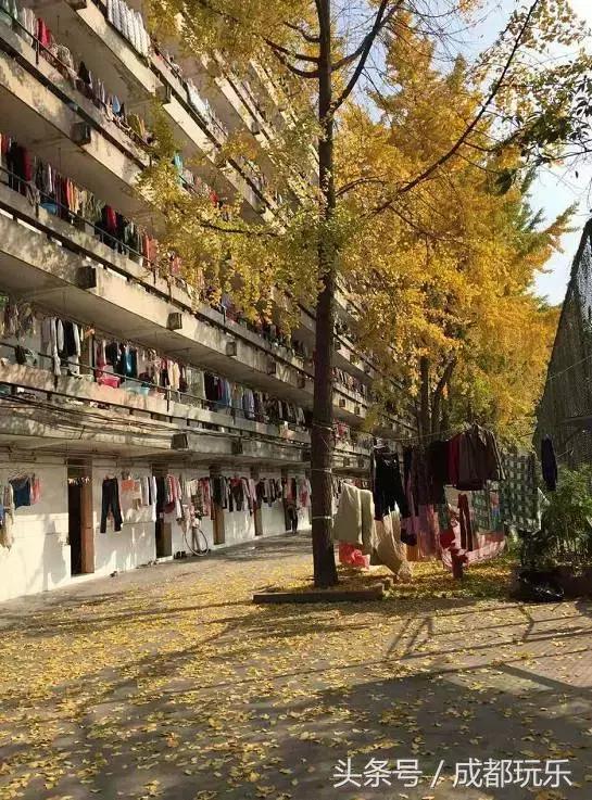 成都的大学宿舍排名,高校宿舍测评