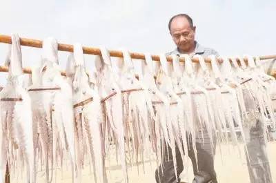 休渔期适合去沿海城市旅游吗,休渔期海岛吃什么