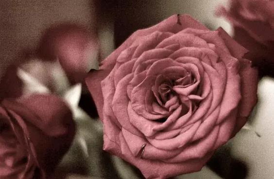 别人涂口红好看自己涂不好看,别人涂口红随便都好看