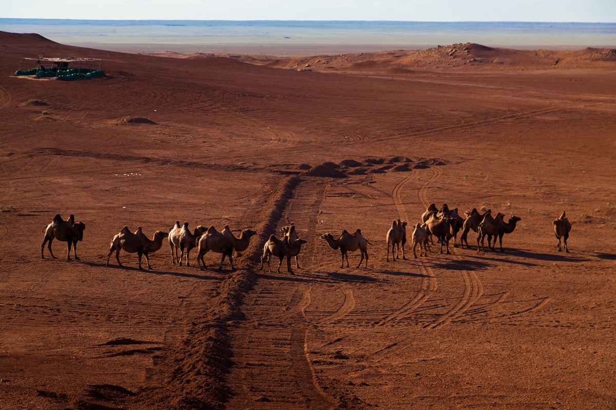去内蒙，有多少人因为不懂这些文化而闹出了笑话