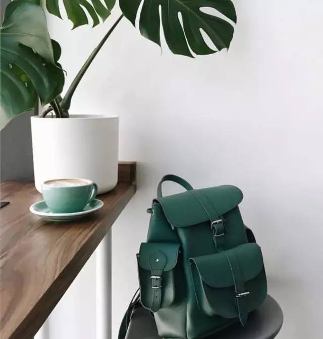 双肩包种草视频,双肩包种草好看能装不贵