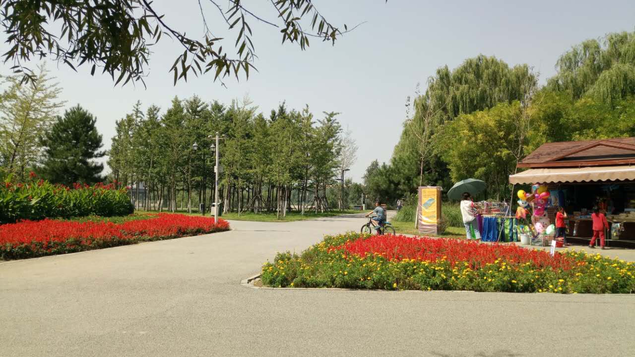 沈阳长白岛森林公园有海吗,游沈阳的长白岛森林公园400字作文