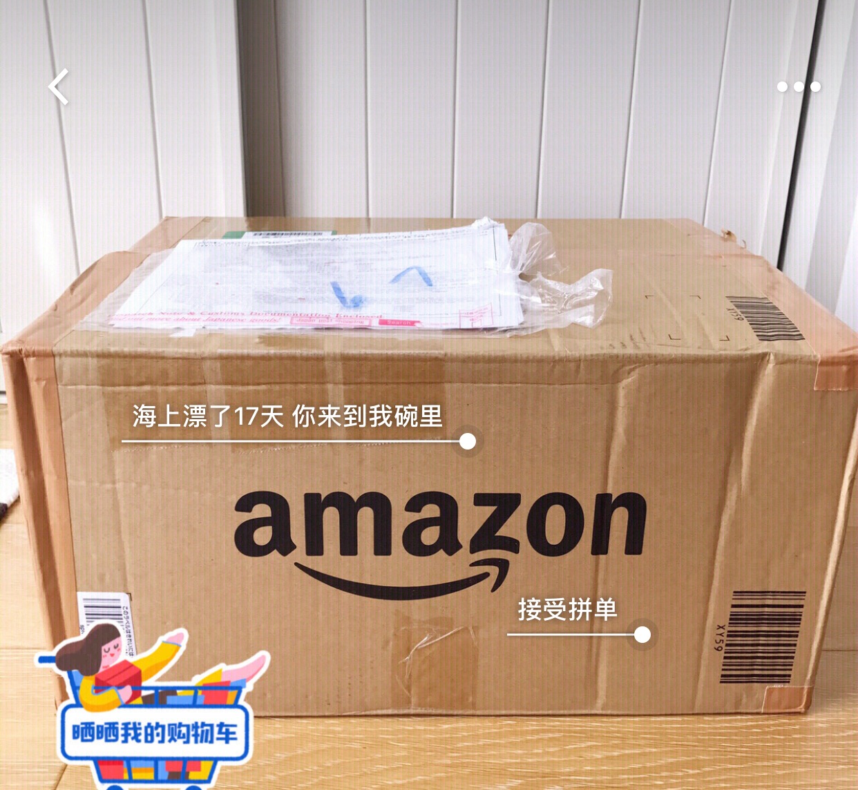 2020年日亚海淘流程,海淘日亚第一单