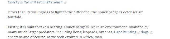 狼獾vs平头哥vs黄鼠狼,平头哥都怕的狼獾有多凶