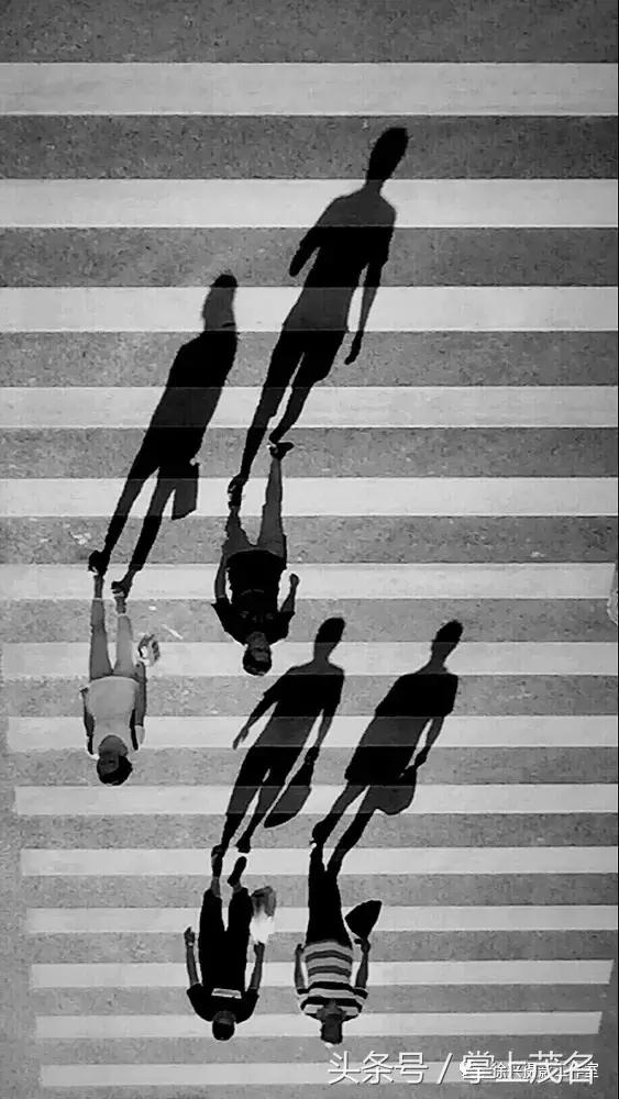 手机摄影田园生活图片,手机摄影主题