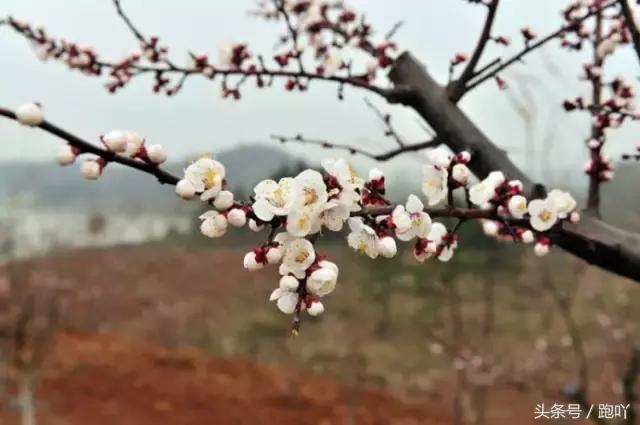 神秘北纬30度在皖南,皖南川藏线北纬30度