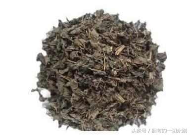 濂充汉闀挎湡鍚冪传鑻忓彾,闀挎湡鍚冪传鑻忓彾