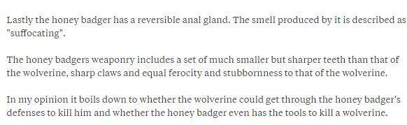 狼獾vs平头哥vs黄鼠狼,平头哥都怕的狼獾有多凶