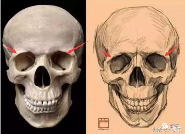 杨紫微整前后容颜对比,杨紫瘦了吗