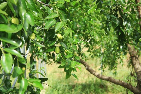 黄河岸边的久久护佑——白云山
