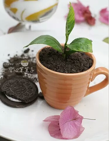 奥利奥吃法大全,高逼格的奥利奥吃法