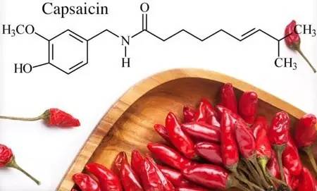 出汗减肥的机器,出汗甩脂运动