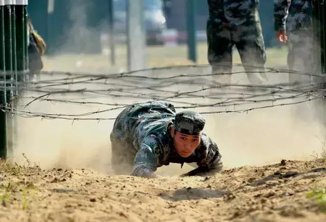 春风十里,吹不散这茬人长达一年的军训记忆