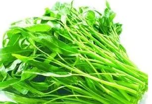 淡水龟吃什么食物,龟吃什么食物好