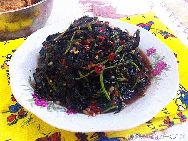 濂充汉闀挎湡鍚冪传鑻忓彾,闀挎湡鍚冪传鑻忓彾