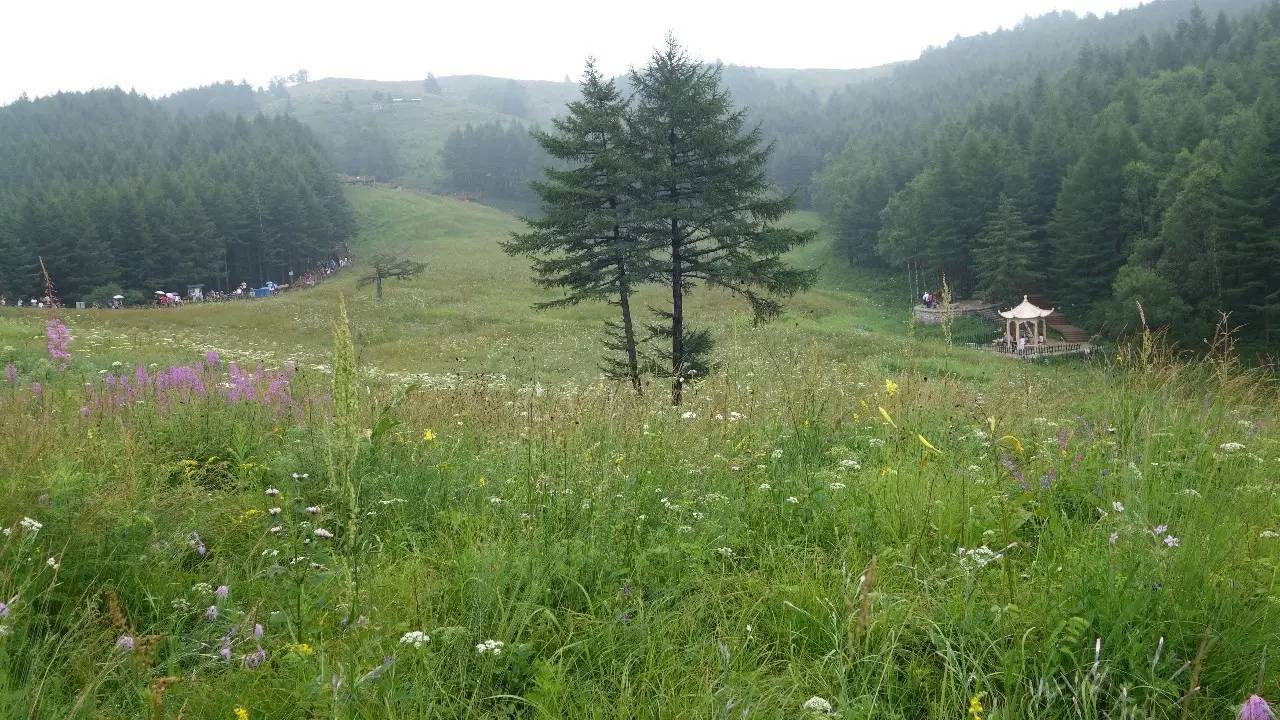 驼梁在石家庄什么地方,石家庄驼梁在石家庄的什么位置