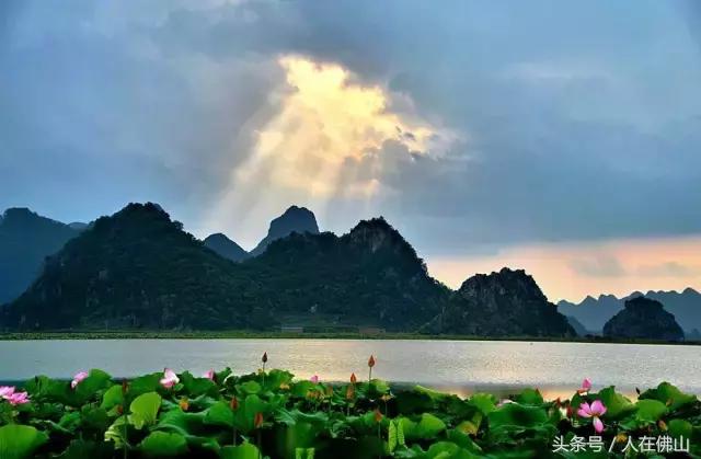 从佛山坐高铁到普者黑从哪进站,佛山西怎么坐高铁到普者黑