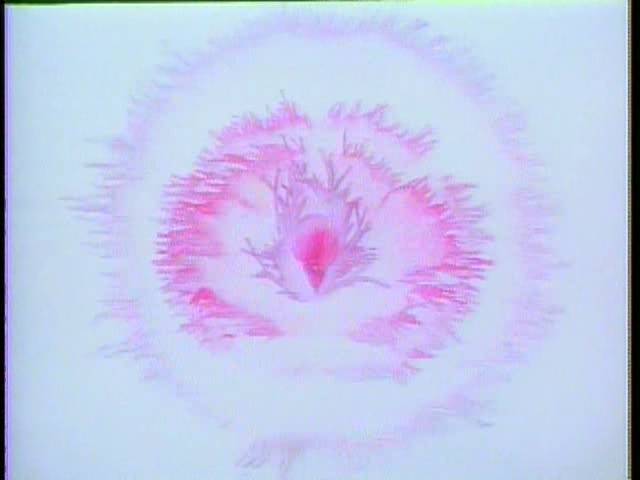 宅男必看的十部动画,成年人适合看的十部国产动画