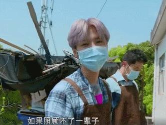 没钱能救助流浪动物么,没钱学生党怎么办