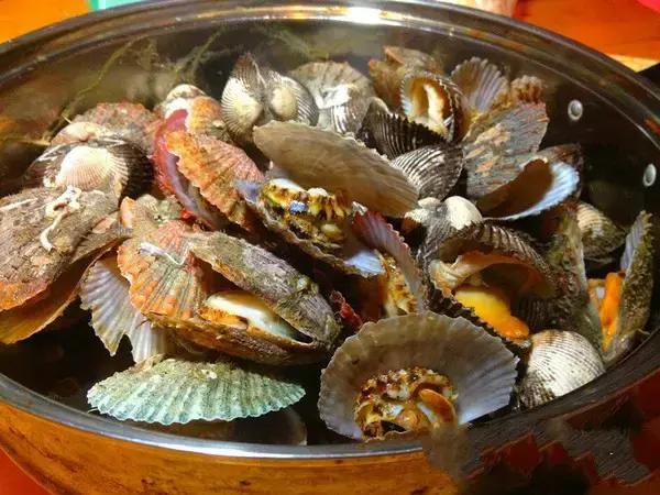 有一种炫富叫开海了,天津炫富视频