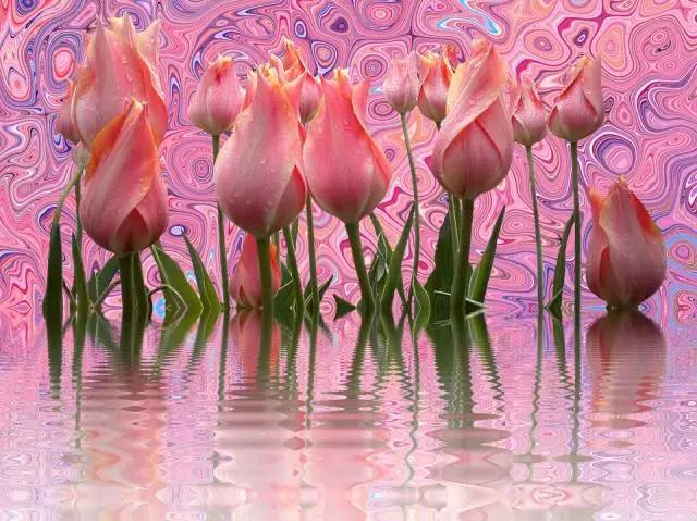 伤感文字早安心语,微信朋友圈早安语录正能量图片