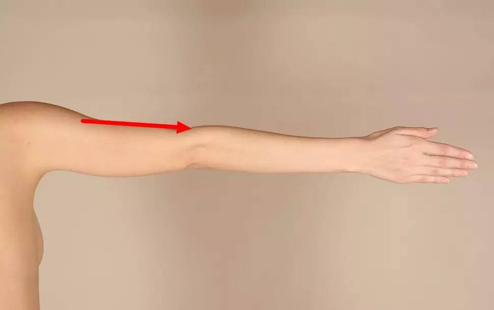 春天易上火降火,春天好上火