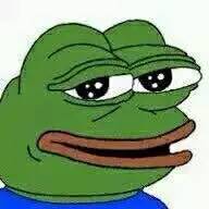 动物城最火的CP居然转行当模特了