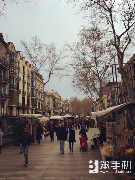 弹弹堂s所有版本,弹弹堂s手游版