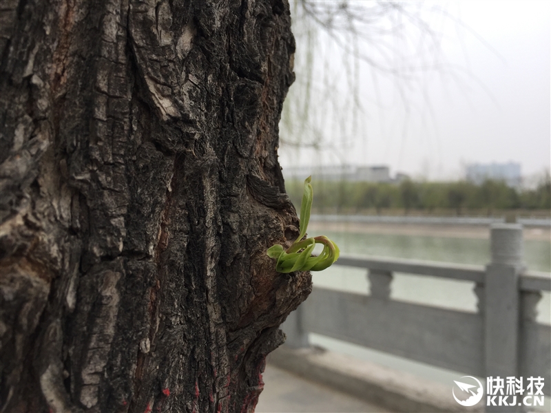 oppocoloros11指纹解锁,oppo手机r7s指纹识别