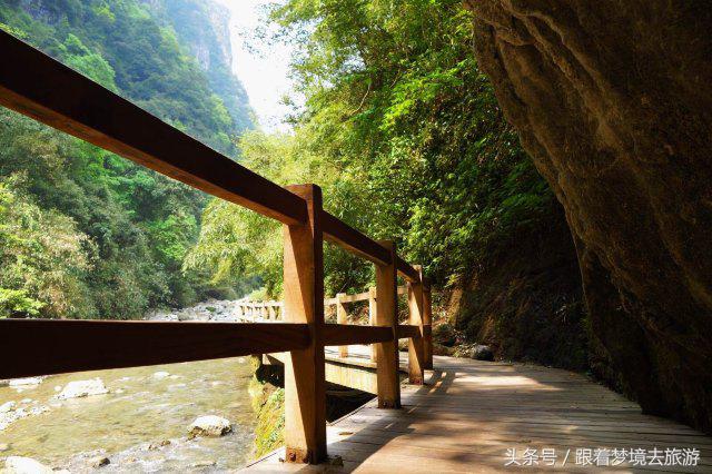 重庆最美黑山谷景区,重庆万盛黑山谷旅游如何