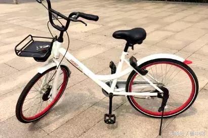 为什么定居淄博,为什么要定居