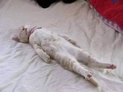 平价面膜敷出大牌效果,如何将面膜敷得服帖