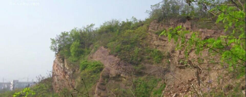 小小紫砂壶视频,小小陶瓷壶