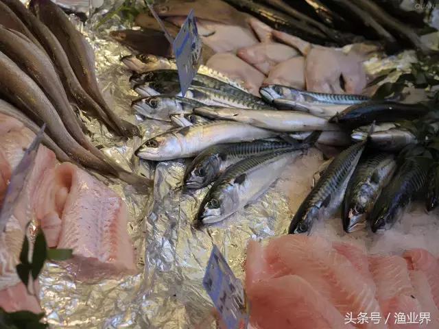 世界十大海鲜市场排名,世界最大的海鲜市场日本