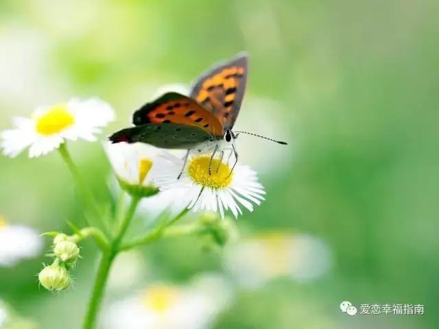 没断奶的男朋友,没断奶的爸宝男