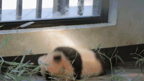 杭州房价跌了?9月最新小区楼盘价格榜出炉!你家房价跌了吗?